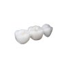 Medidenta - 3D Printing - Resins - Rodin® RapidCeram - Gallery 02